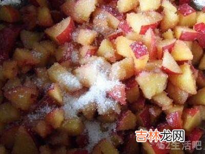 李子怎么腌制好吃?