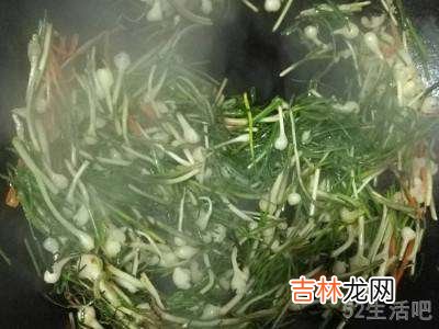 野葱怎么做好吃?