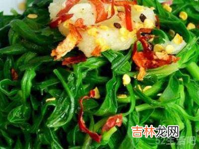 野菜面条菜怎么做好吃?