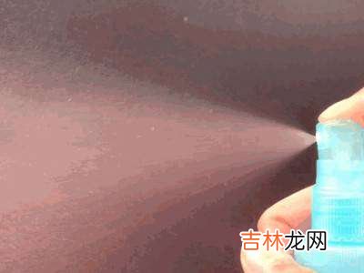 院子里苍蝇太多了用什么办法快速解决?