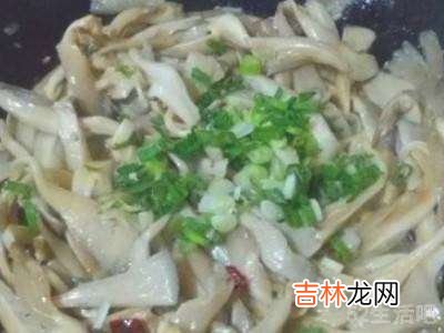 大叶蘑菇怎么炒好吃?