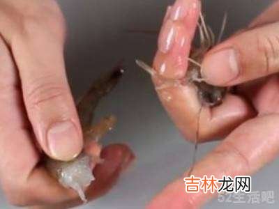 鲜虾怎么剥壳?