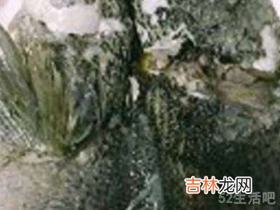 青江鱼长怎么做好吃?