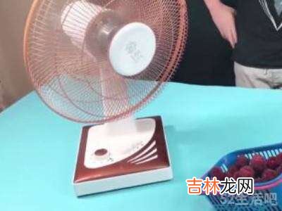 杨梅怎么放冰箱保鲜?