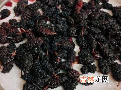 怎样晒桑葚干快?