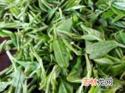 茶叶的制作方法和流程?