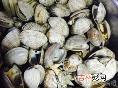 花蛤怎么吃?