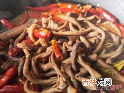 鸡肠怎么吃?