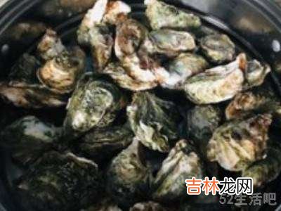 海蛎怎么吃好吃?