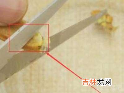 蟹钳怎么吃里面的肉?
