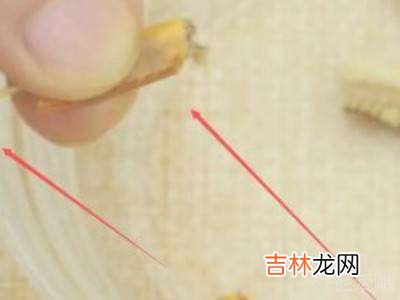 蟹钳怎么吃里面的肉?