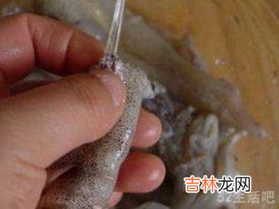 小鱿鱼怎么处理?