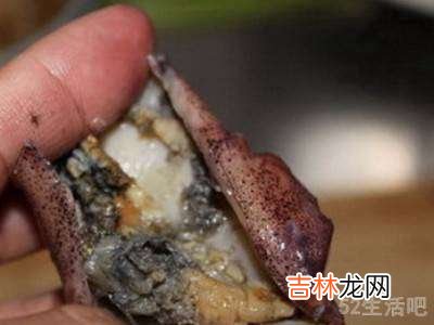 小鱿鱼怎么处理?