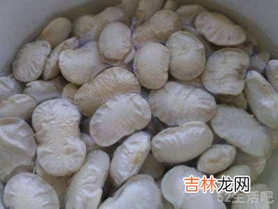 怎样快速泡发大白豆?