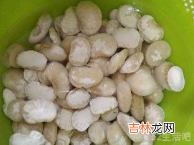 怎样快速泡发大白豆?