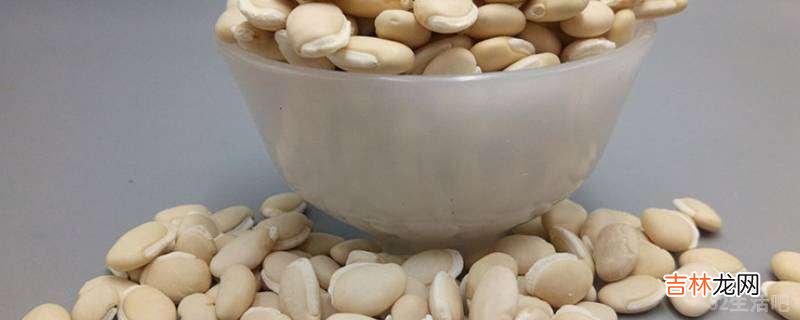 怎样快速泡发大白豆?