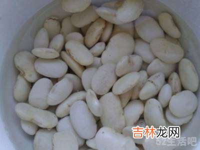 怎样快速泡发大白豆?
