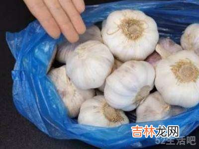 鲜蒜怎样存放保鲜?