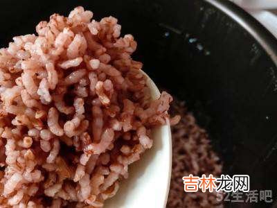 红米怎么吃?