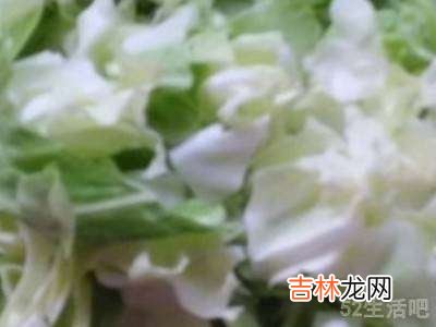 大白菜怎么吃?