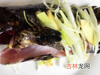 虎头斑鱼怎么吃?