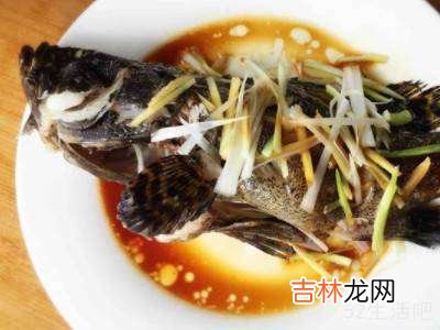 虎头斑鱼怎么吃?