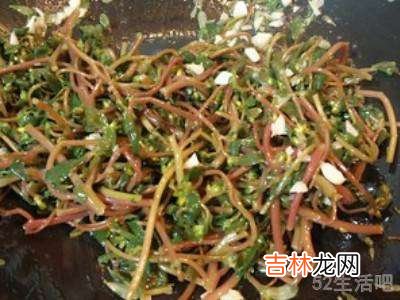 马齿苋的做法?