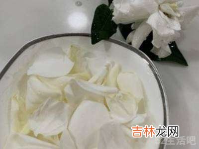 栀子花茶怎么做?