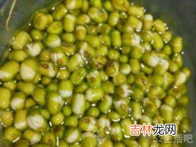 豆牙莱怎么发?