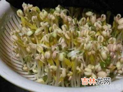 豆牙莱怎么发?