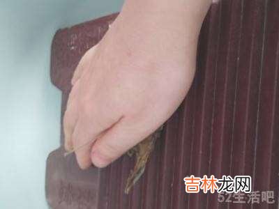 艾草怎么做成艾绒?