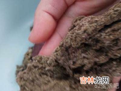 艾草怎么做成艾绒?