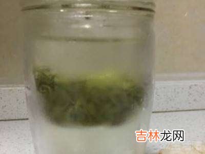 荔枝茶怎么做?