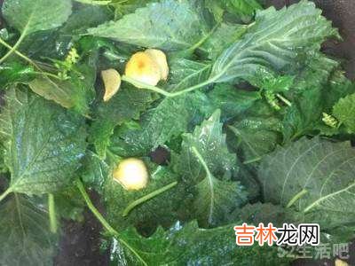 怎么吃紫苏?