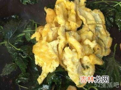 怎么吃紫苏?