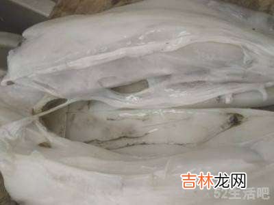 乌贼怎么处理干净?