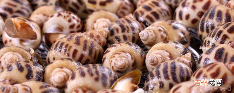 花螺怎么做?