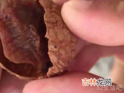 荔枝怎么晒成干的做法?