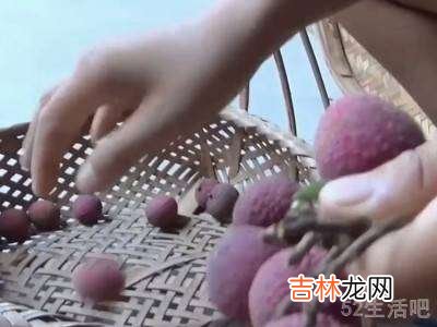 荔枝怎么晒成干的做法?