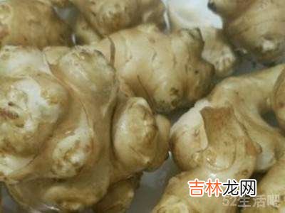 葵花芋怎么吃?