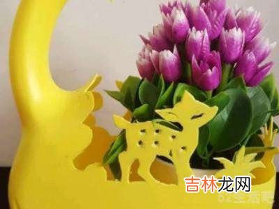 用洗衣液瓶制作花瓶怎么剪?