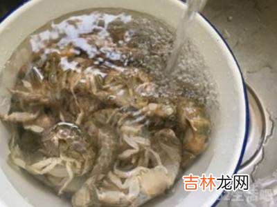 泸沽虾怎么吃?