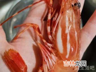 斑点虾怎么吃?