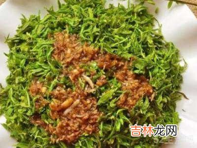 榆钱树花怎么吃?