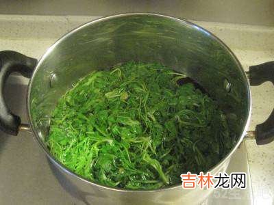 榆钱树花怎么吃?