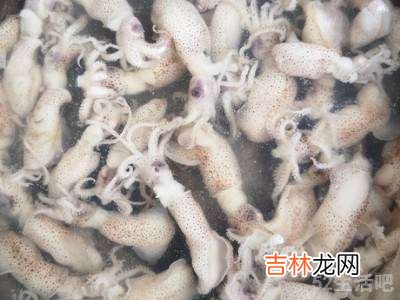 海兔怎么吃?