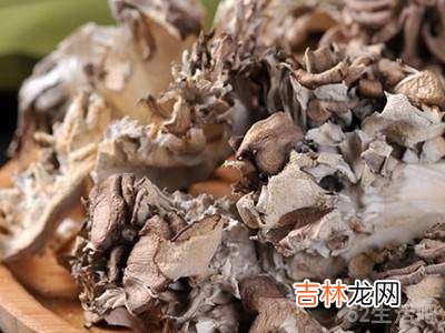 舞茸灰树花怎么吃?