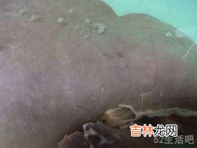 猪肝粉怎么吃?