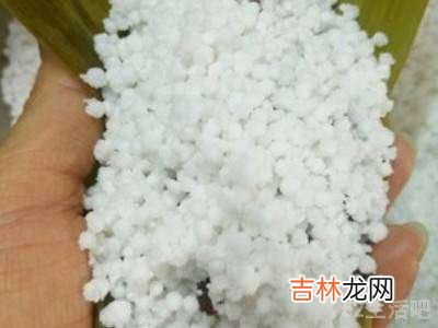 西米粽怎么包才Q弹?