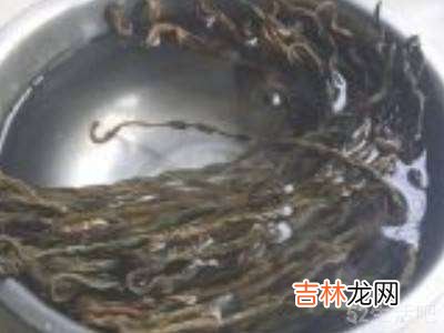 干豆角怎么泡发窍门?